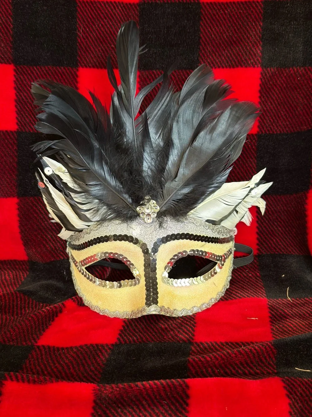 Black Feathered Masquerade Mask with Ivory Accents